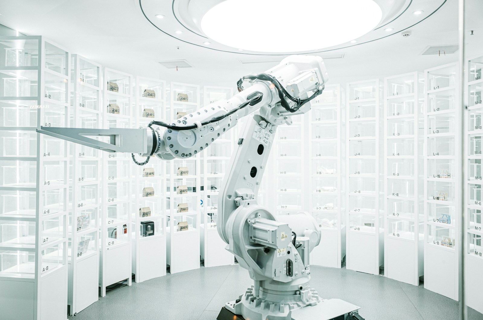 AI workshop